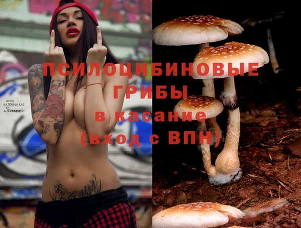герыч Козельск