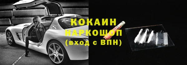прущие грибы Козловка