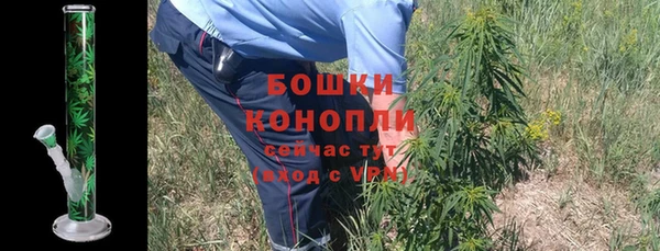 прущие грибы Козловка