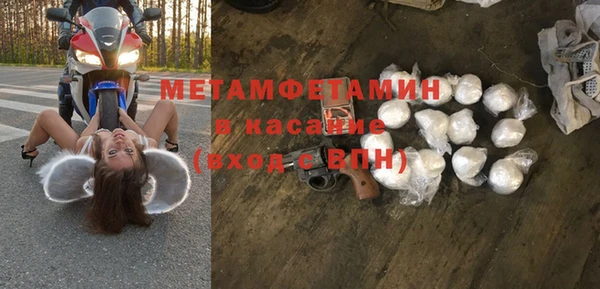 прущие грибы Козловка