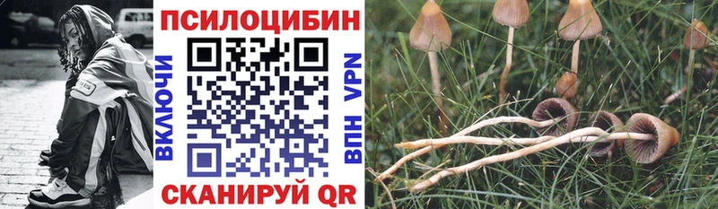 Псилоцибиновые грибы Psilocybine cubensis  Кудрово 