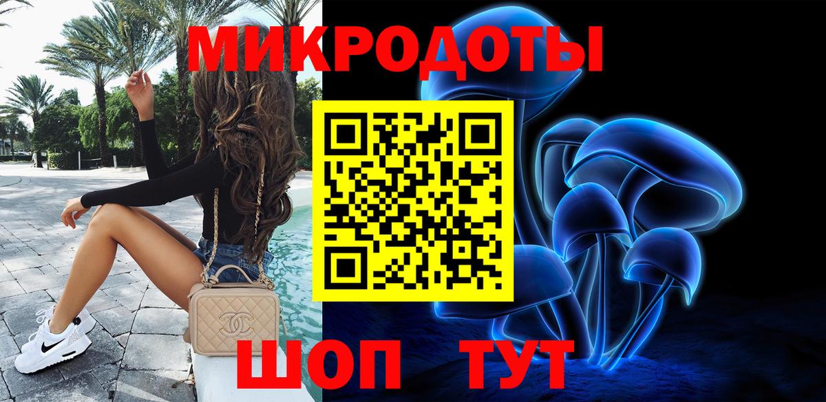 Галлюциногенные грибы Psilocybe Кудрово