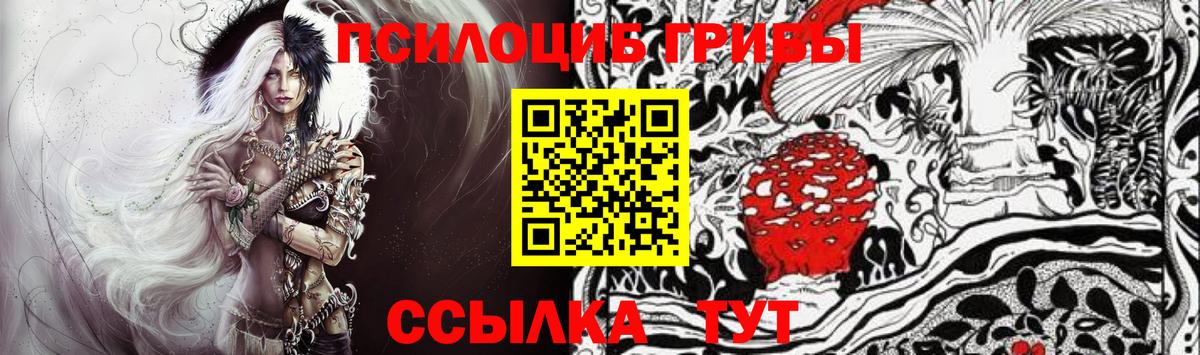 Кудрово  Галлюциногенные грибы Cubensis  Вход с VPN  Псилоцибиновые грибы мухоморы 